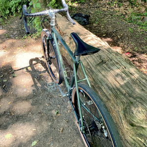 2022 Velo Orange Polyvalent Green