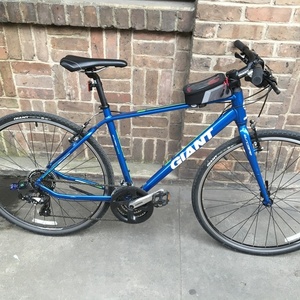 2015 Giant Escape Blue