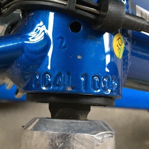2015 Giant Escape Blue