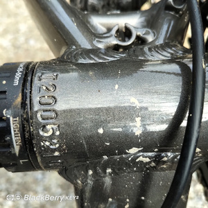 2020 Marin Bikes Silver, gray or bare metal