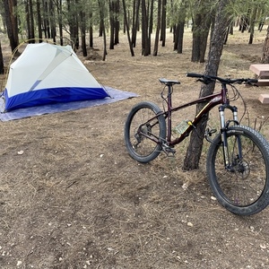 2021 Kona Big Honzo Purple