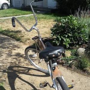 Schwinn Silver or Gray