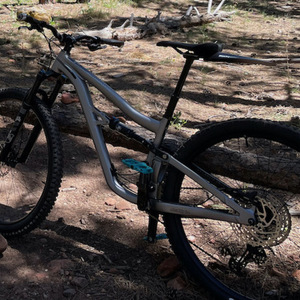 2022 Ibis Ripley AF M/17" DPS Deore Kit/150mm R... Silver, gray or bare metal