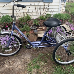 Other Miami Sun Cruiser tricycle Blue
