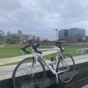 6KU Track frame White