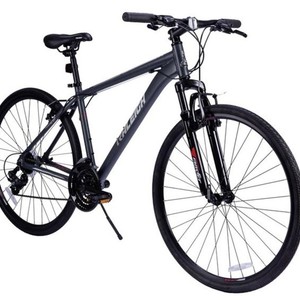 2021 Raleigh Overtake 700C Hybrid Silver, gray or bare metal