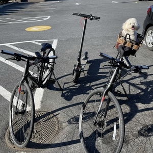 2020 Trek Stagger Black