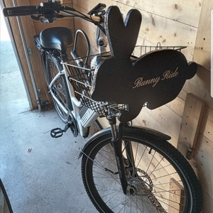 2021 Biktrix Stunner White