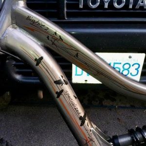 2009 Specialized BigHit FSR II Brown