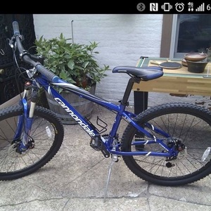 Cannondale Blue and Black
