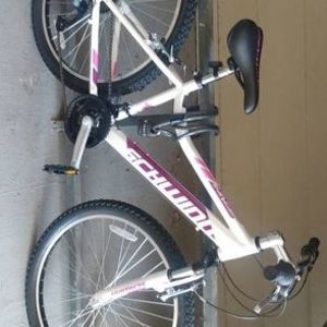 Schwinn Ranger White, Purple, and Pink