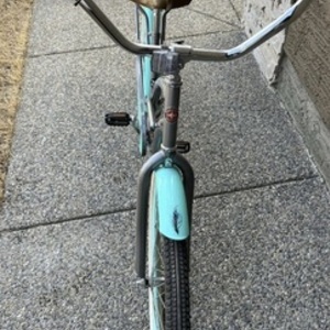 Schwinn Teal