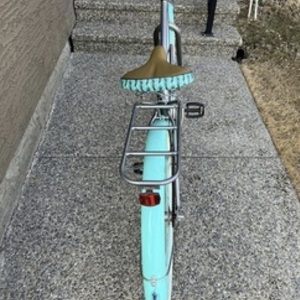Schwinn Teal