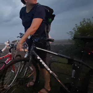 2018 Trek FX 2 WSD Disk 17.5 Black