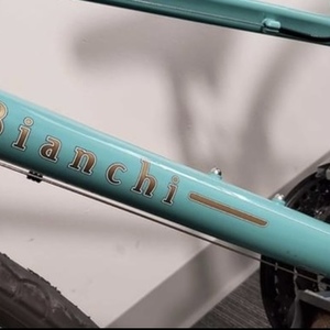 2020 Bianchi Milano Teal