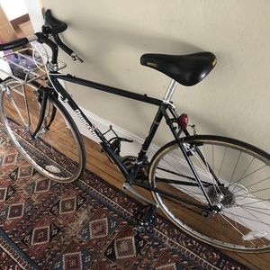 1994 Bridgestone RB-T Green