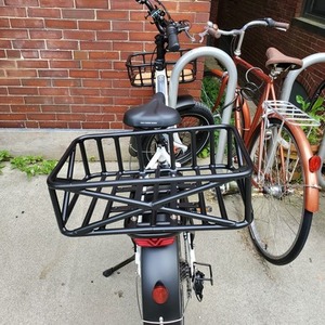 2022 Rad Power Bikes RADEXPAND 5 White