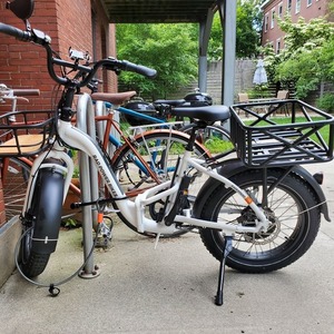 2022 Rad Power Bikes RADEXPAND 5 White