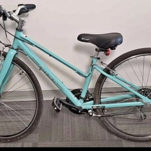 2020 Bianchi Milano Teal