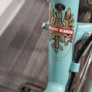 2020 Bianchi Milano Teal