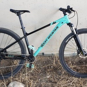 2021 Rocky Mountain Bicycles Fusion 10 Green and Black