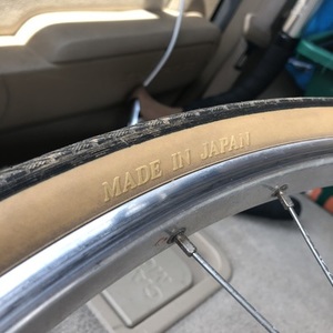 1985 Schwinn Green