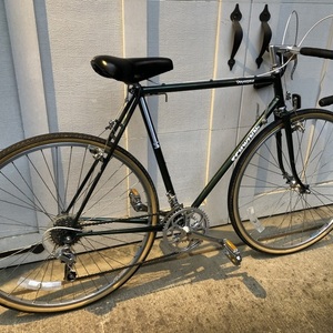 1985 Schwinn Green