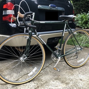 1985 Schwinn Green