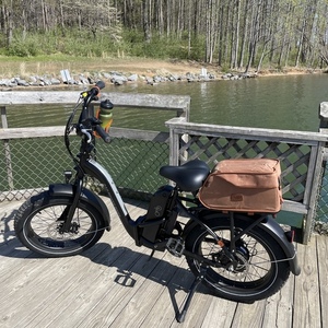 2022 Rad Power Bikes Expand 5 Black