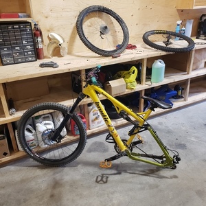 2006 Brodie Baku Yellow or Gold and Green