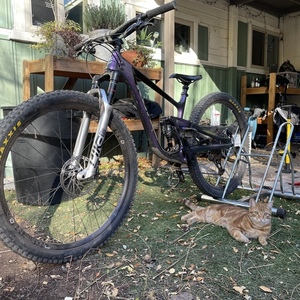 2021 Kona Process CR supreme Purple