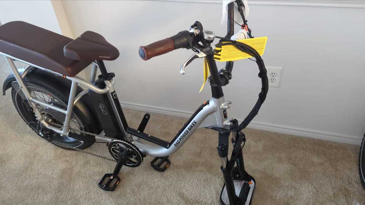 Cargo Bike Rear photo