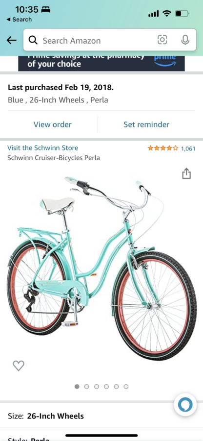 schwinn perla 24