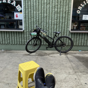 Rad Power Bikes RadMission Black