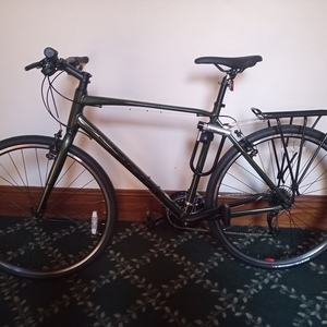 2021 Giant Escape 3 Green