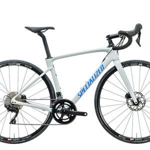 2020 Specialized Roubaix Silver, gray or bare metal