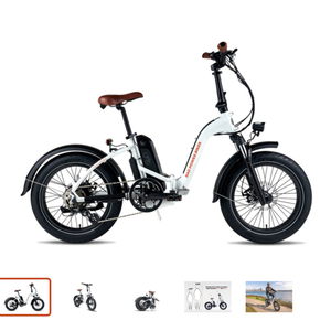 2020 Rad Power Bikes RadMini Step-Thru 2 White