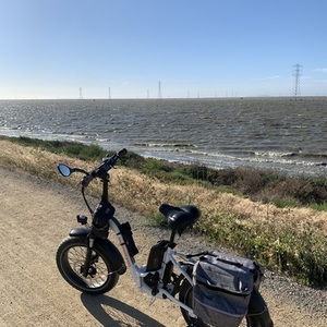 2020 Rad Power Bikes RadMini Step-Thru 2 White