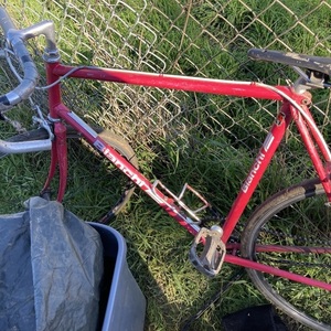 1986 Bianchi Men’s cromolly sport sx Pink