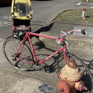 1986 Bianchi Men’s cromolly sport sx Pink