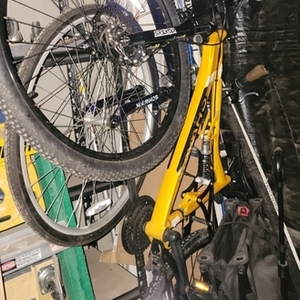 2016 Schwinn Schwinn Orange and Black