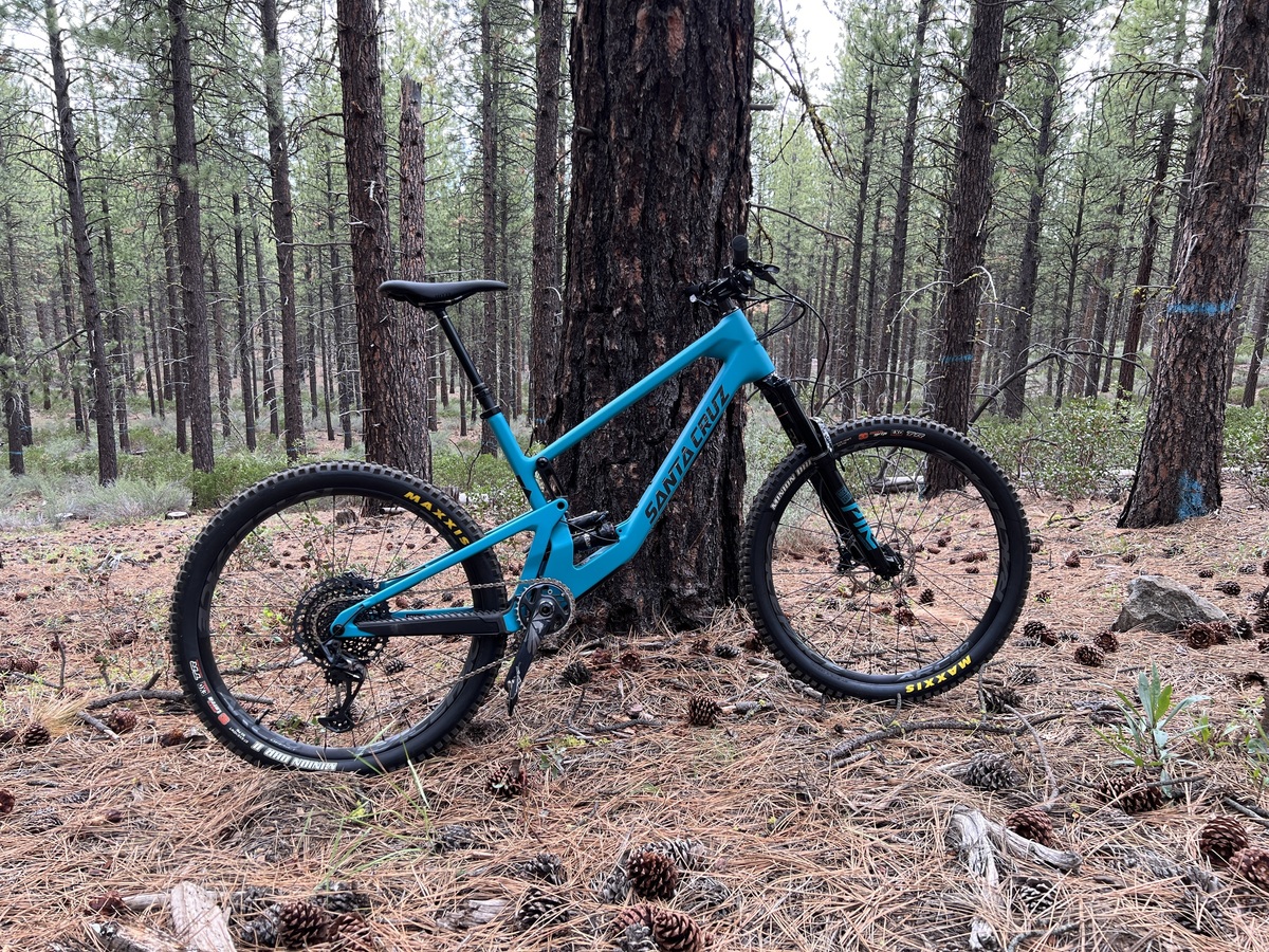 Santa cruz