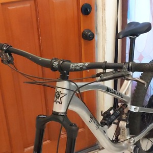 2019 Guerrilla Gravity Megatrail Silver, gray or bare metal