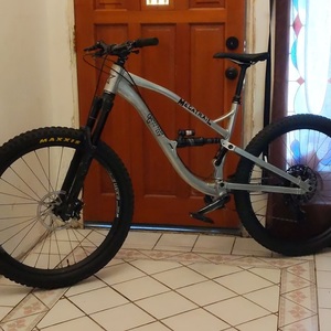 2019 Guerrilla Gravity Megatrail Silver, gray or bare metal