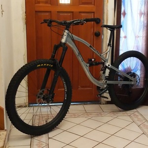 2019 Guerrilla Gravity Megatrail Silver, gray or bare metal