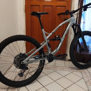 2019 Guerrilla Gravity Megatrail Silver, gray or bare metal