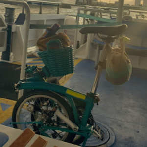 Brompton Bicycle 776315 Teal