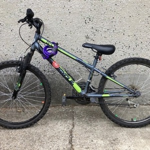 2019 Supercycle Nitro Silver, gray or bare metal and Green