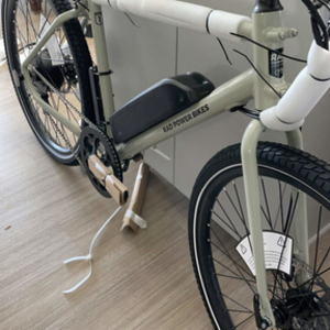 2021 Rad Power Bikes Rad Mission Silver, gray or bare metal and Green