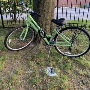 2015 Raleigh Detour Green